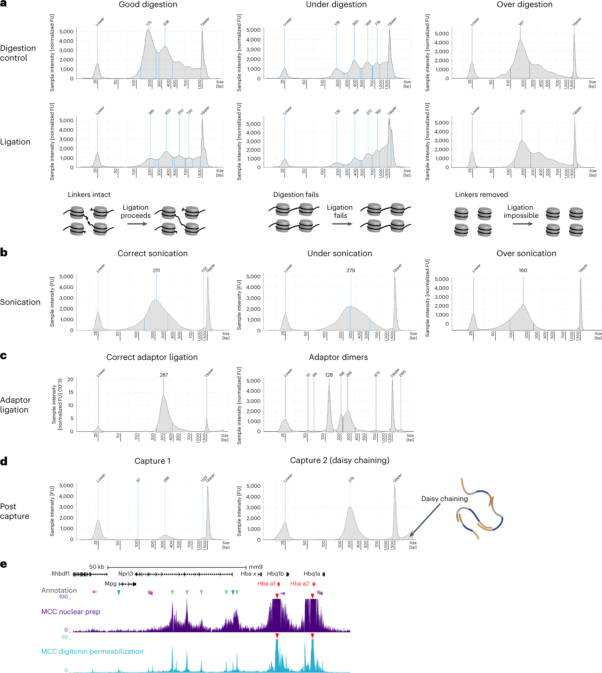 Fig. 4: Expected results.