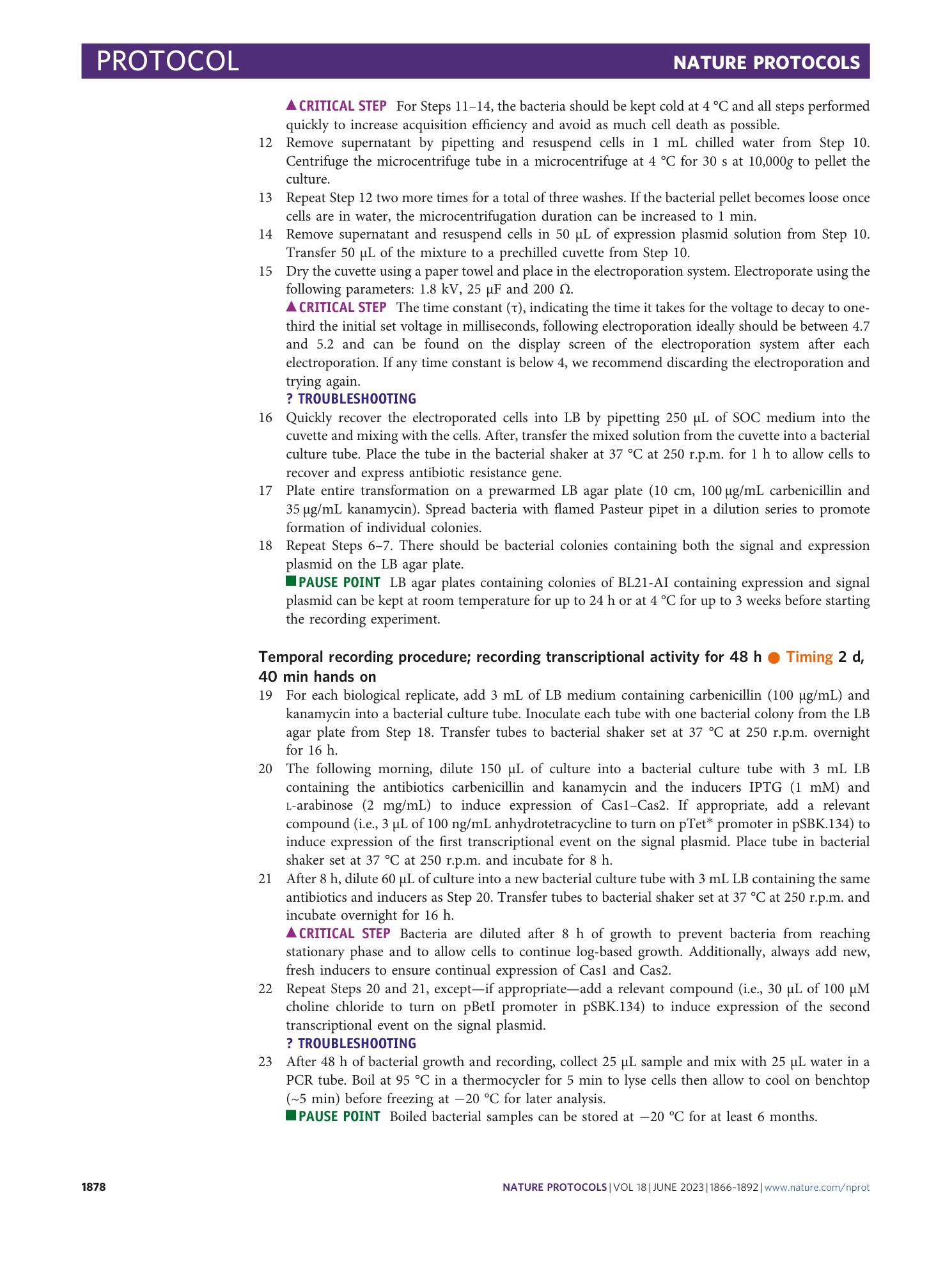 page-13