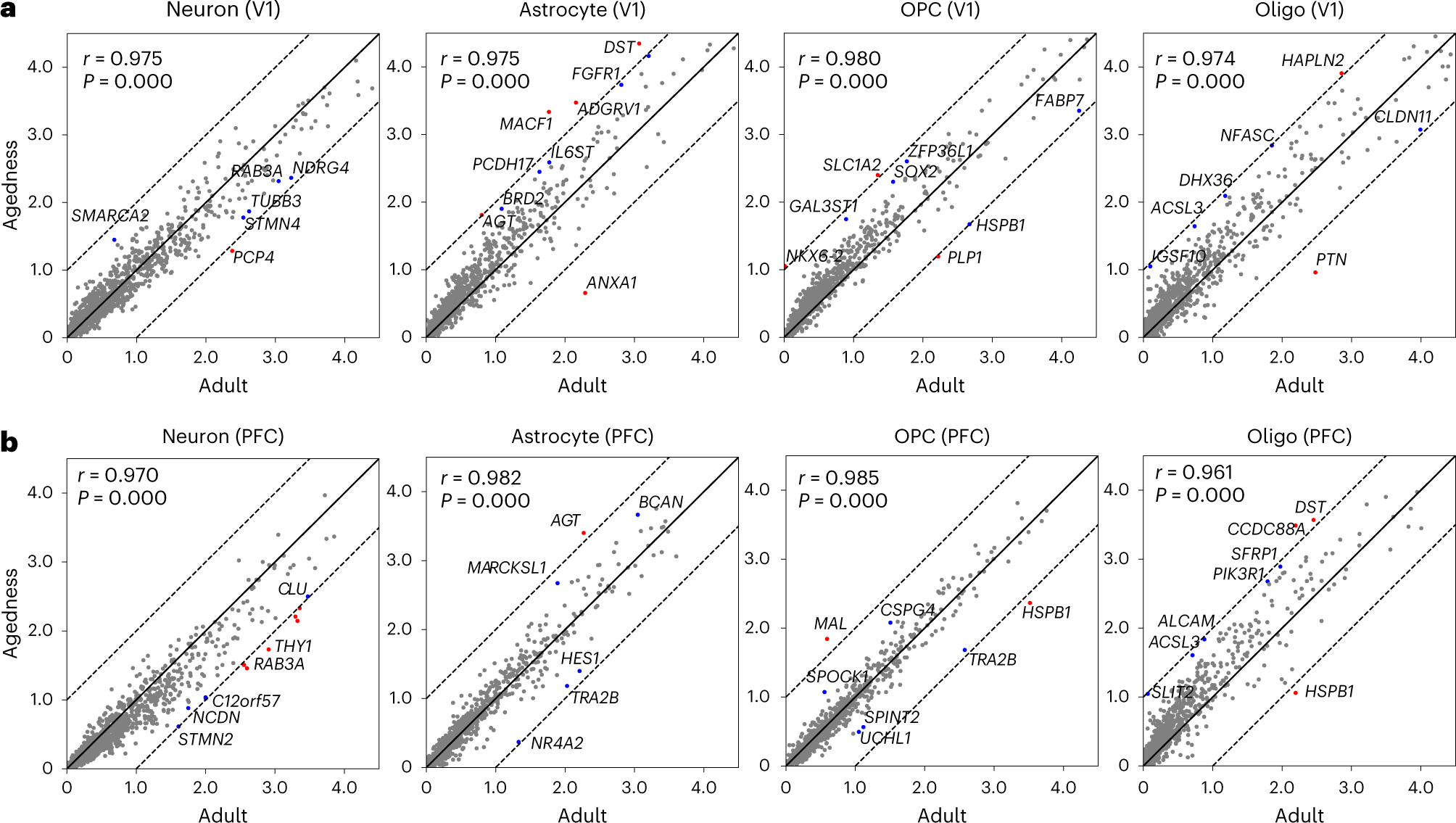 Fig. 6: The age-related changes in gene expression.
