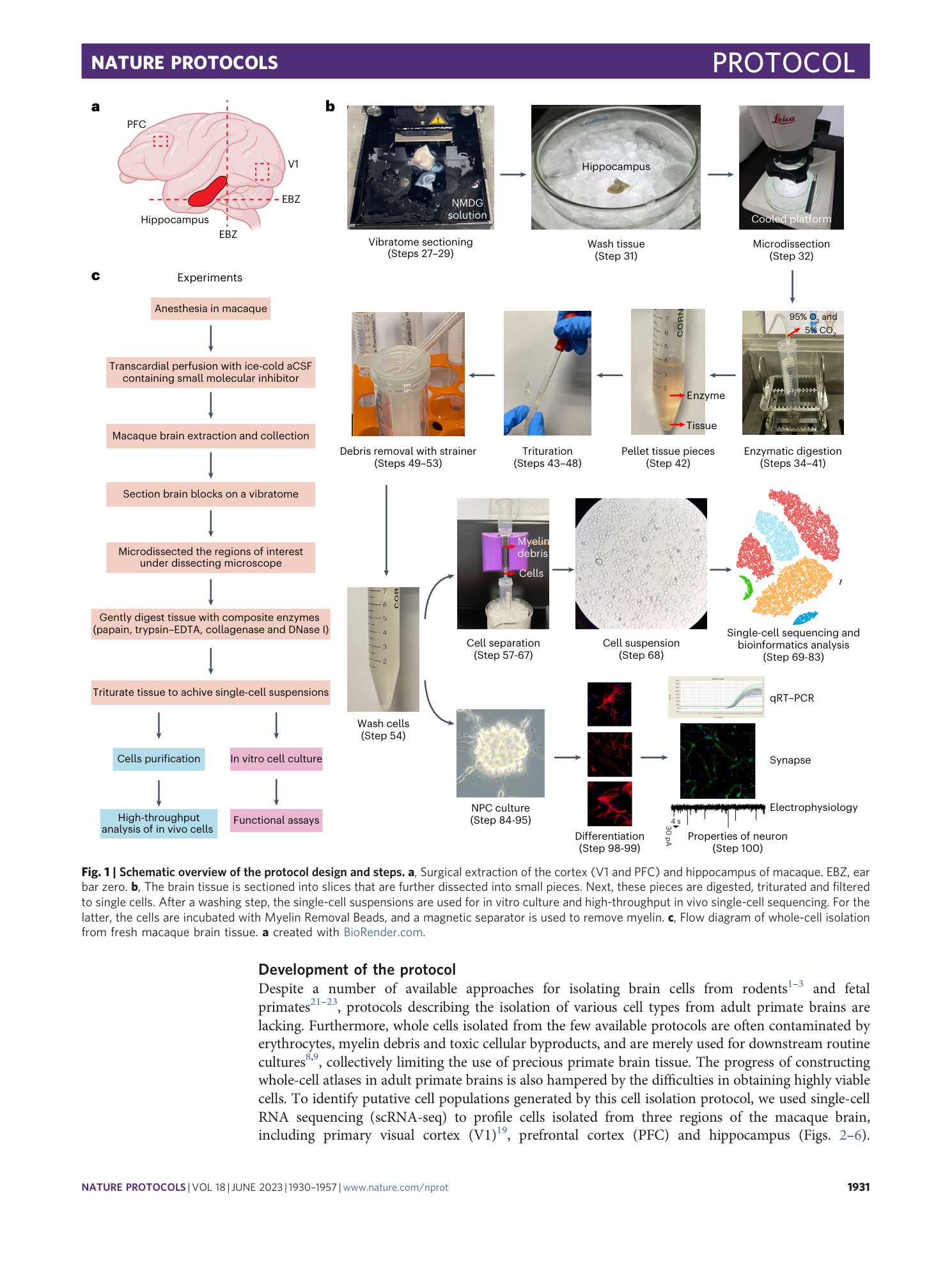 page-2