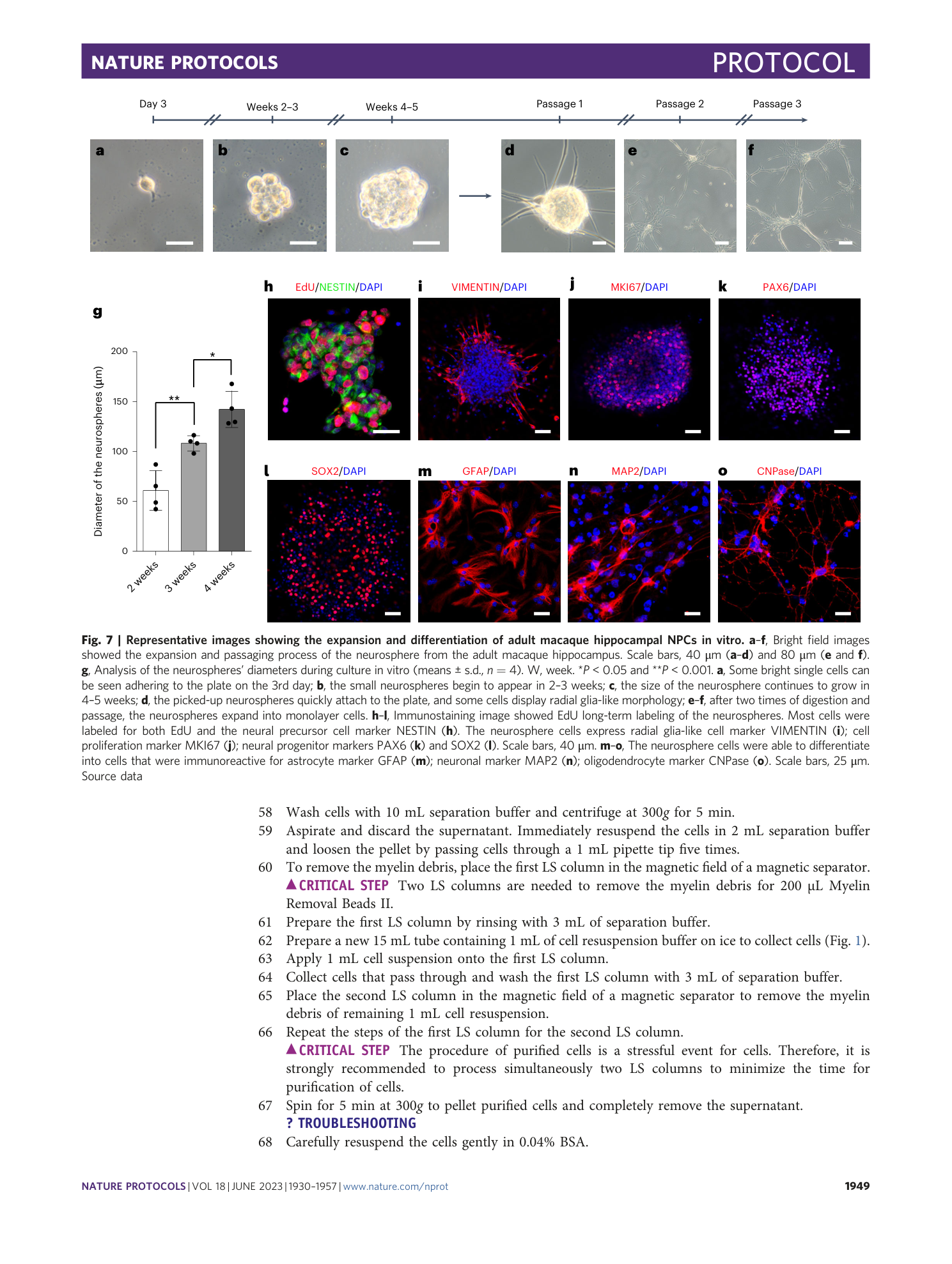 page-20