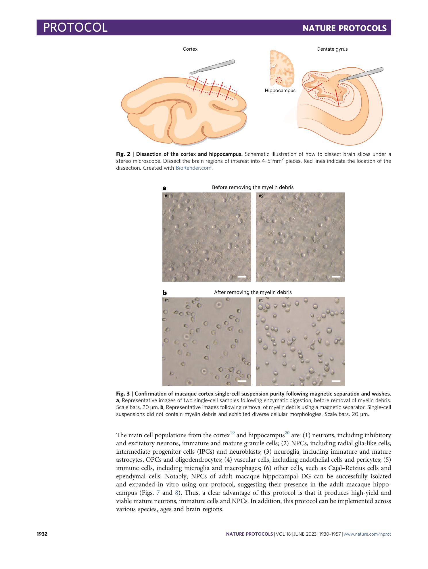page-3