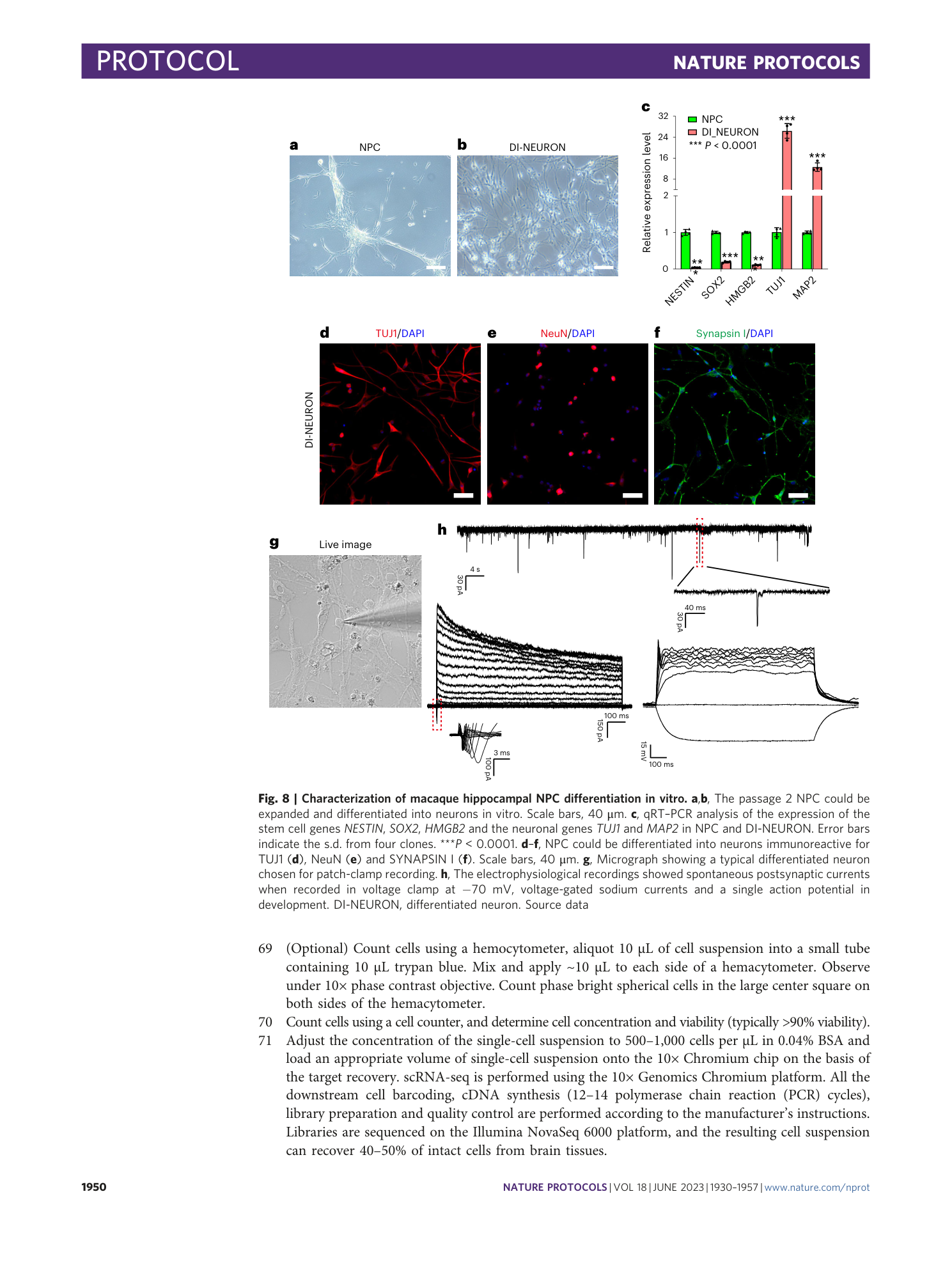 page-21