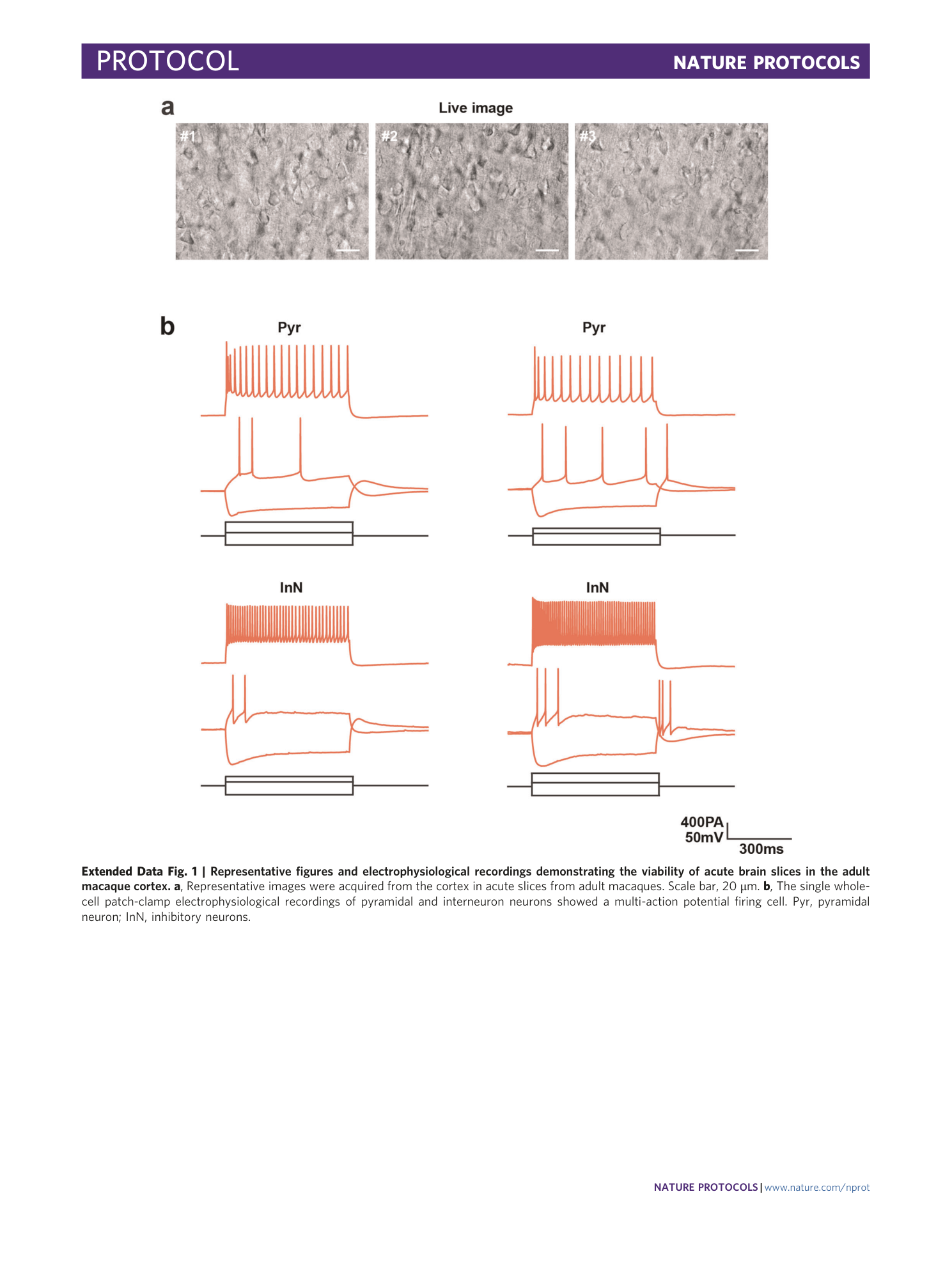 page-29