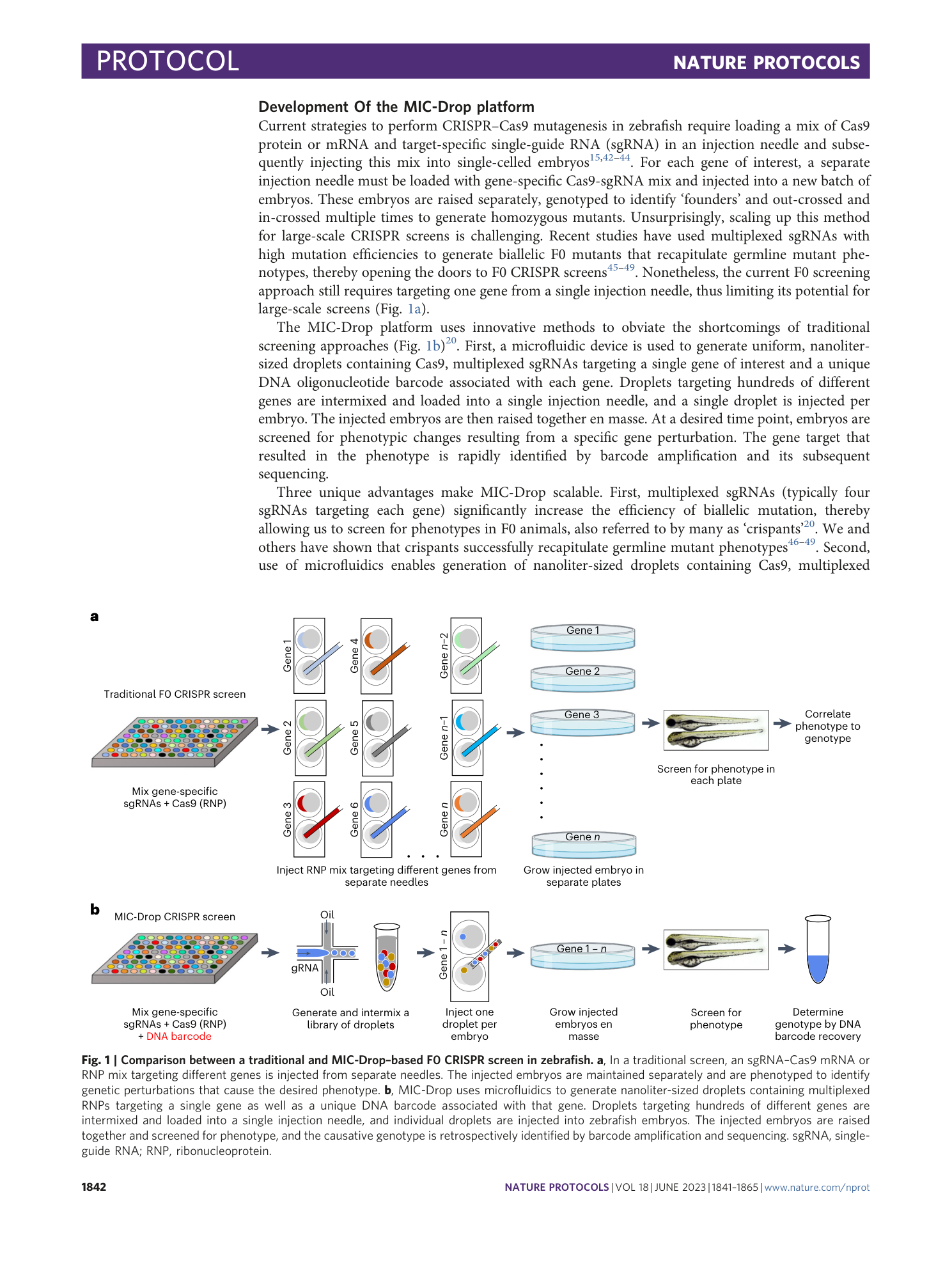 page-2