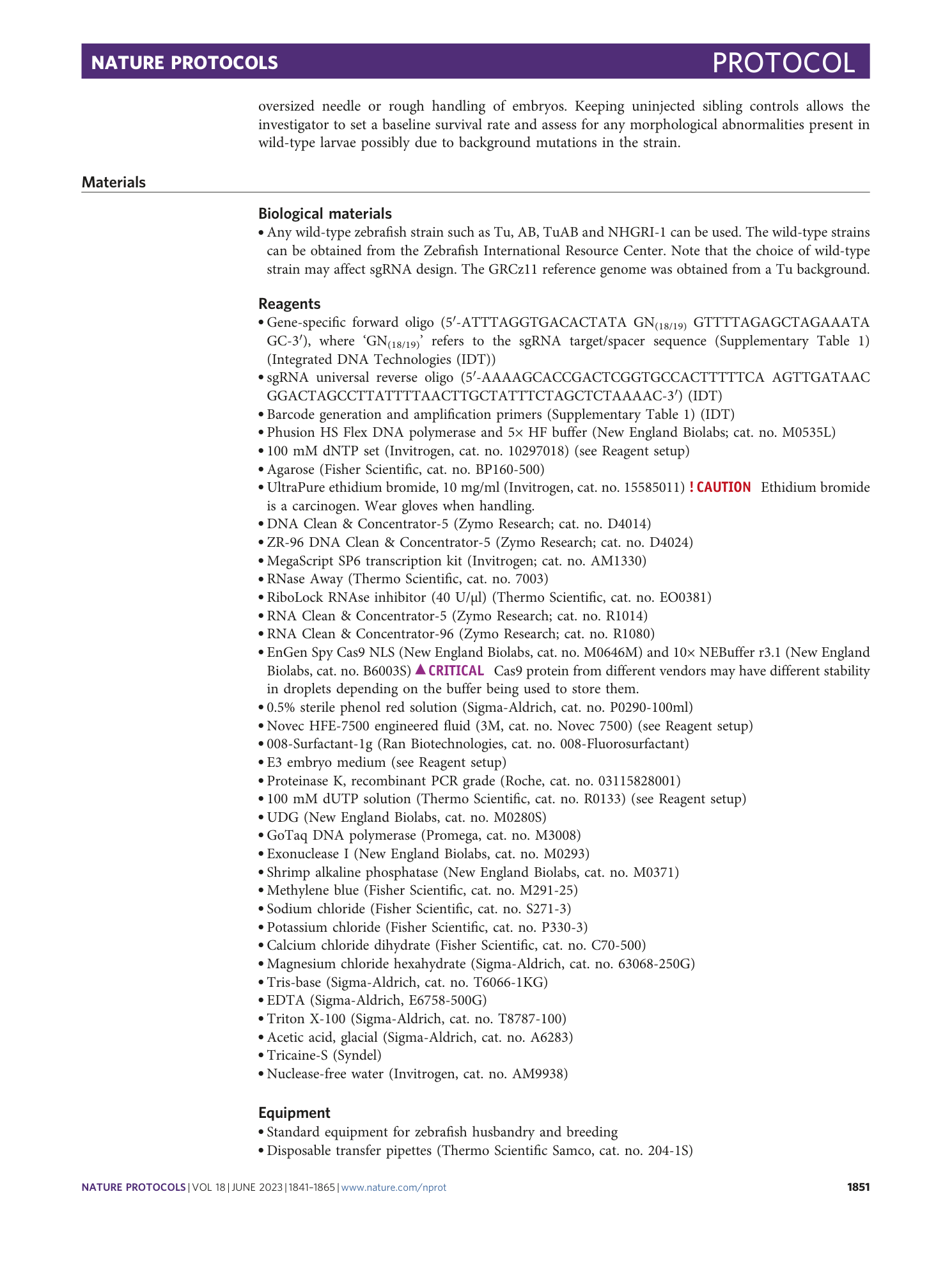 page-11