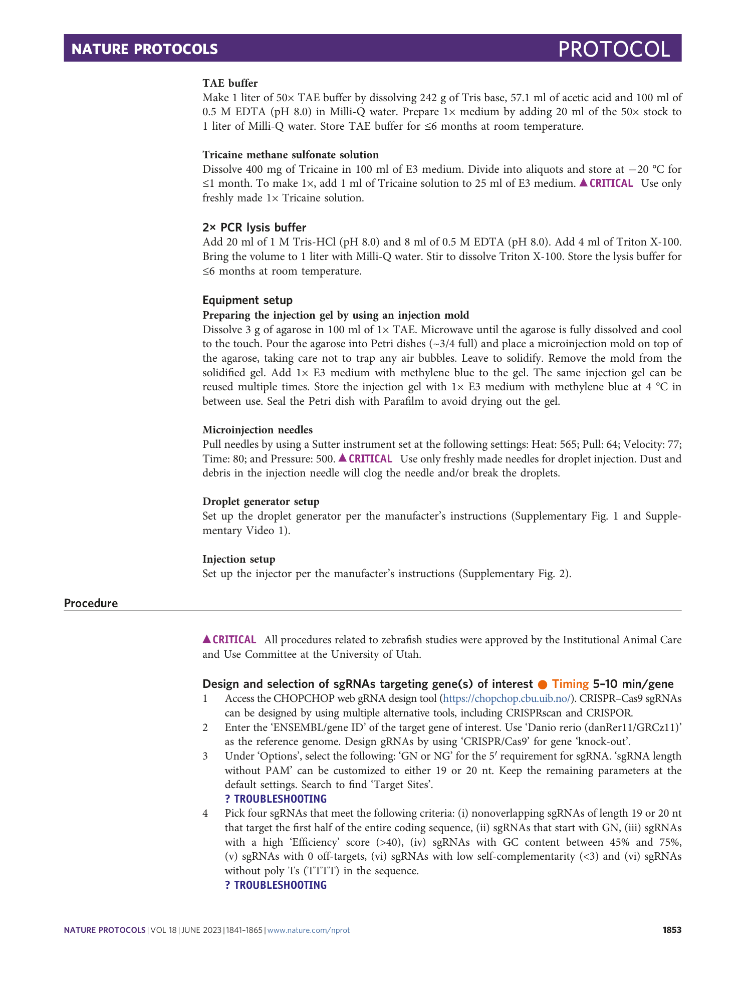 page-13