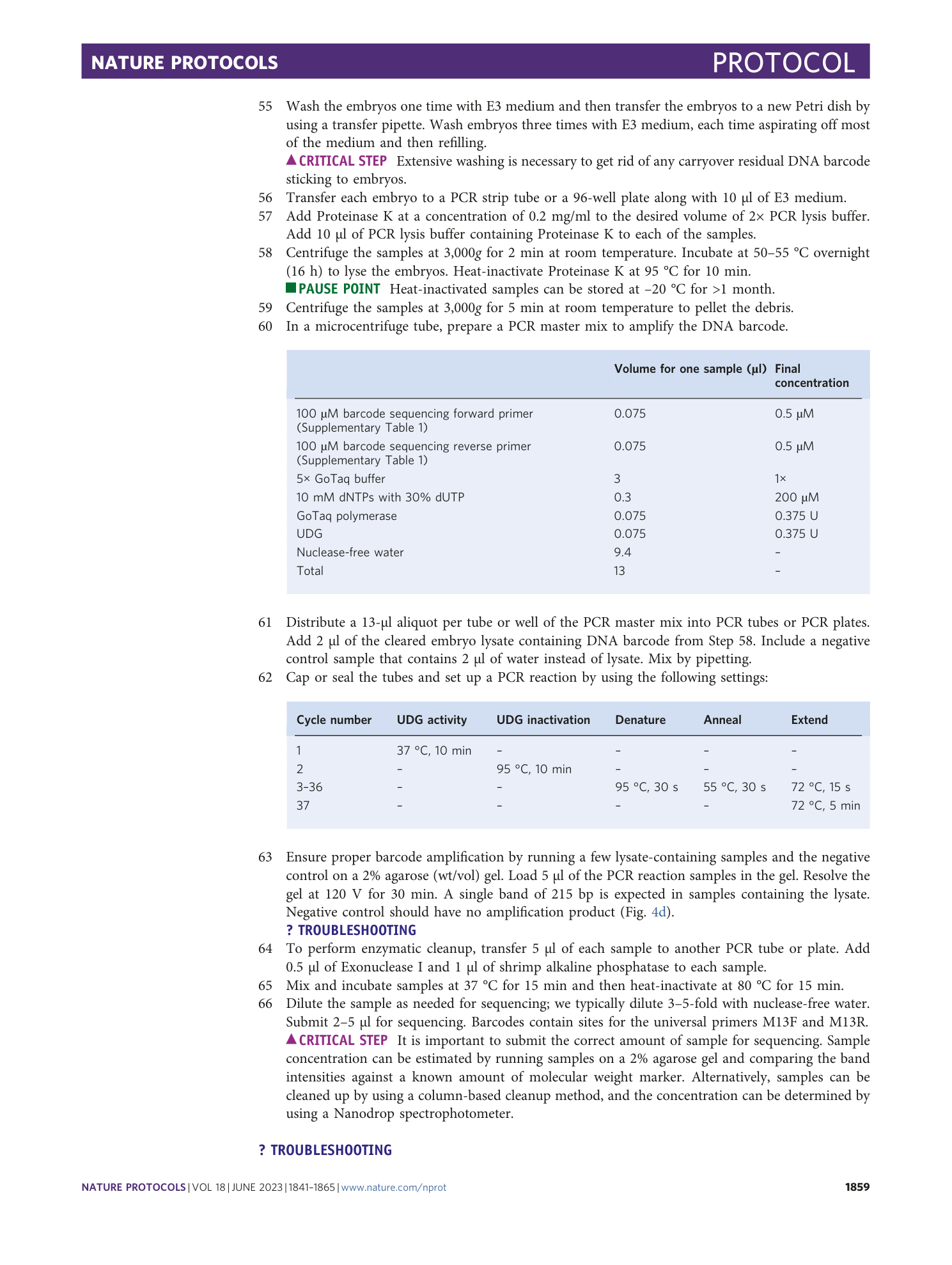 page-19