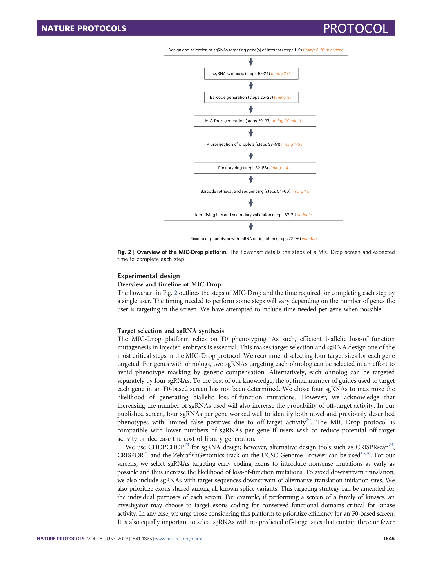 page-5