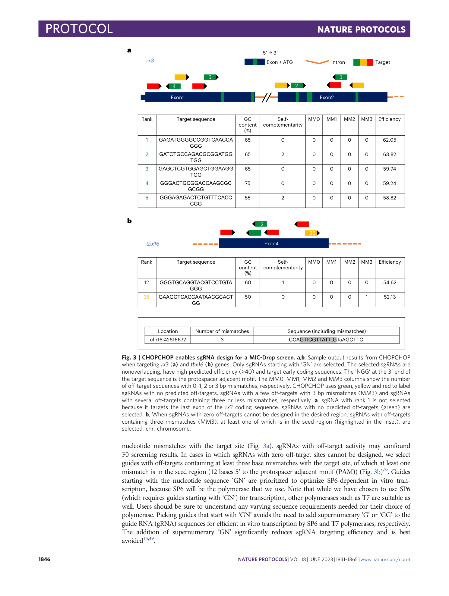page-6