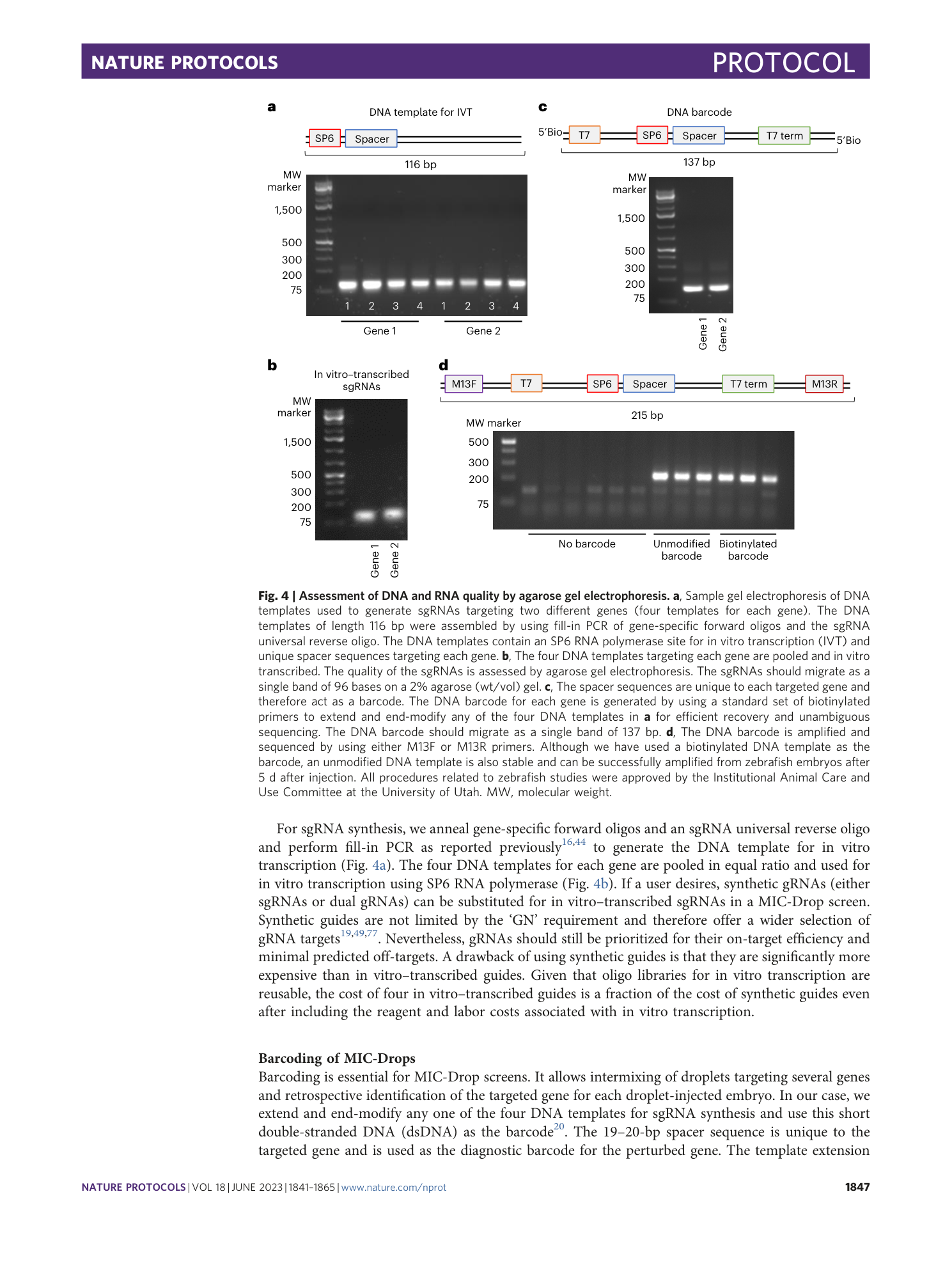 page-7