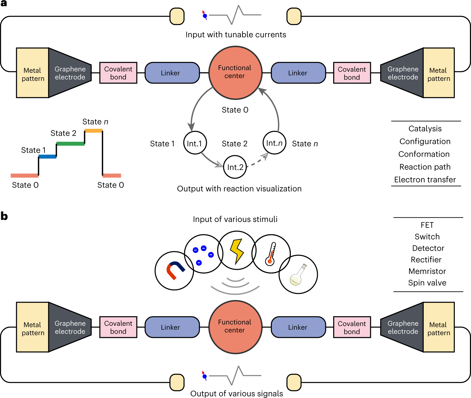 Fig. 1: Schematic illustrations of potential applications using single-molecule devices.
