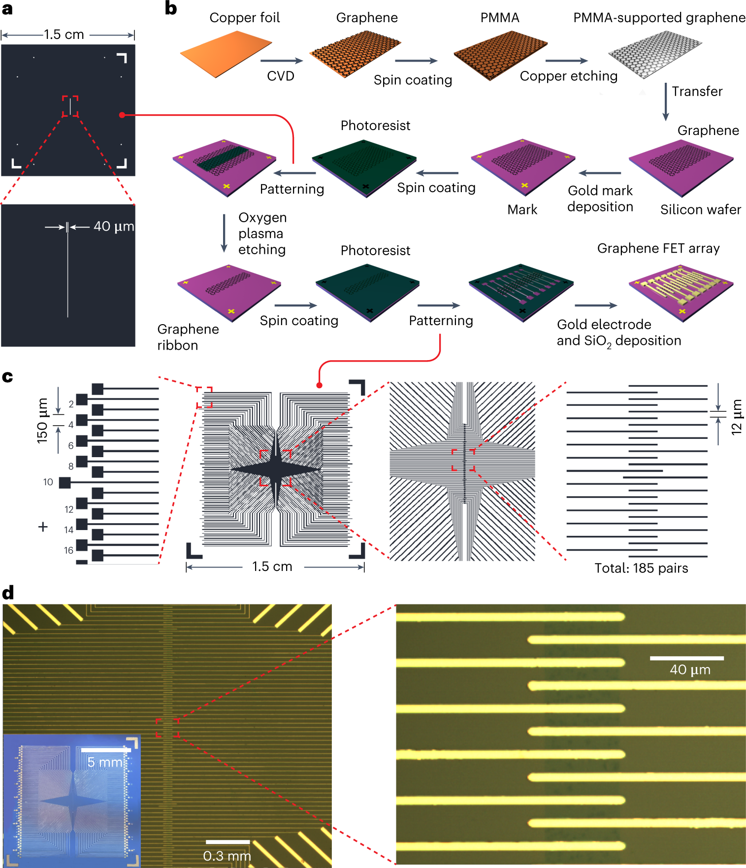 Fig. 3: Preparation of graphene FETs.