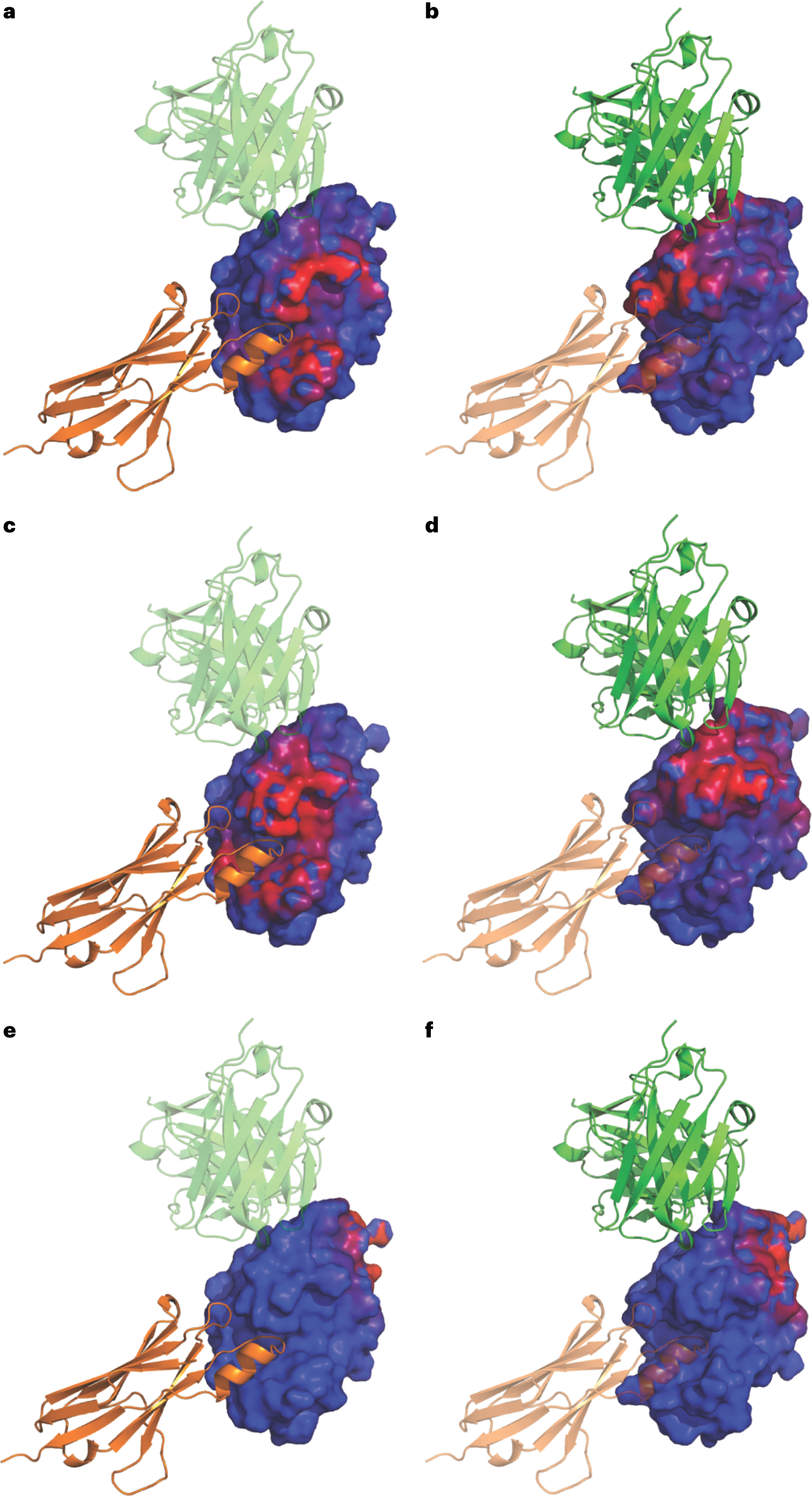 Fig. 10: Results of epitope mapping for two lysozyme-antibody complexes using each of the three epitope-mapping modes in AbEMap (X-ray structure, model or sequence based).