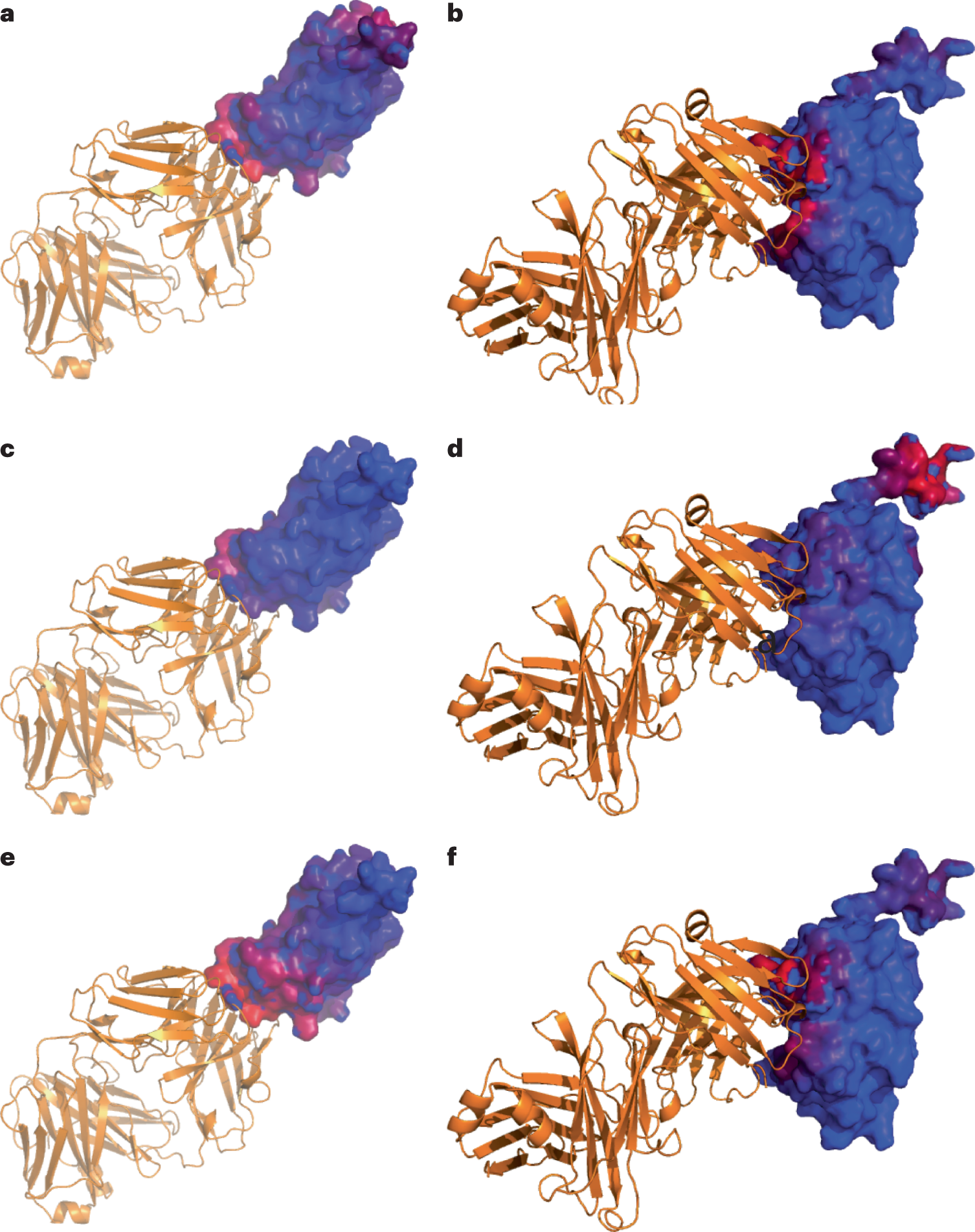 Fig. 11: Mapping the epitopes for complexes 2W9E and 3MXW.
