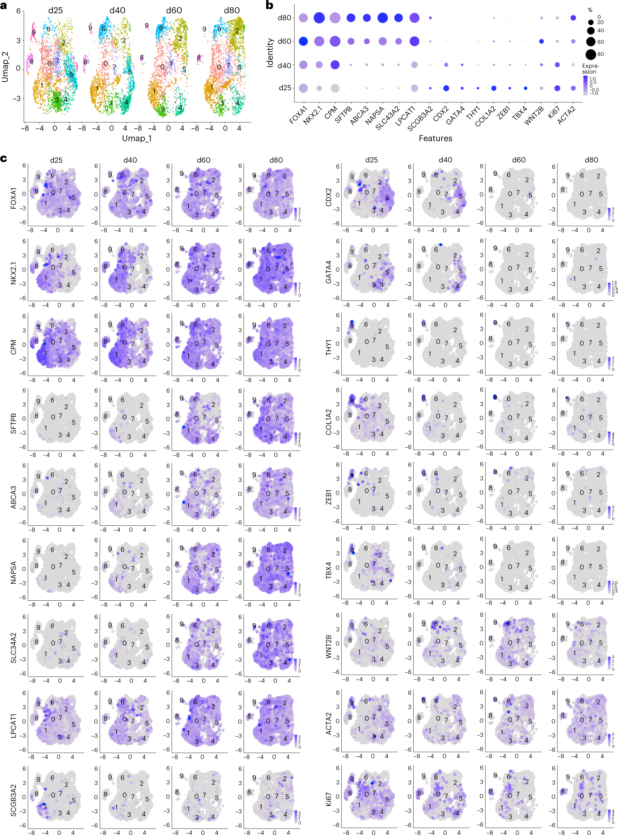 Fig. 7: Integrated scRNAseq analysis.