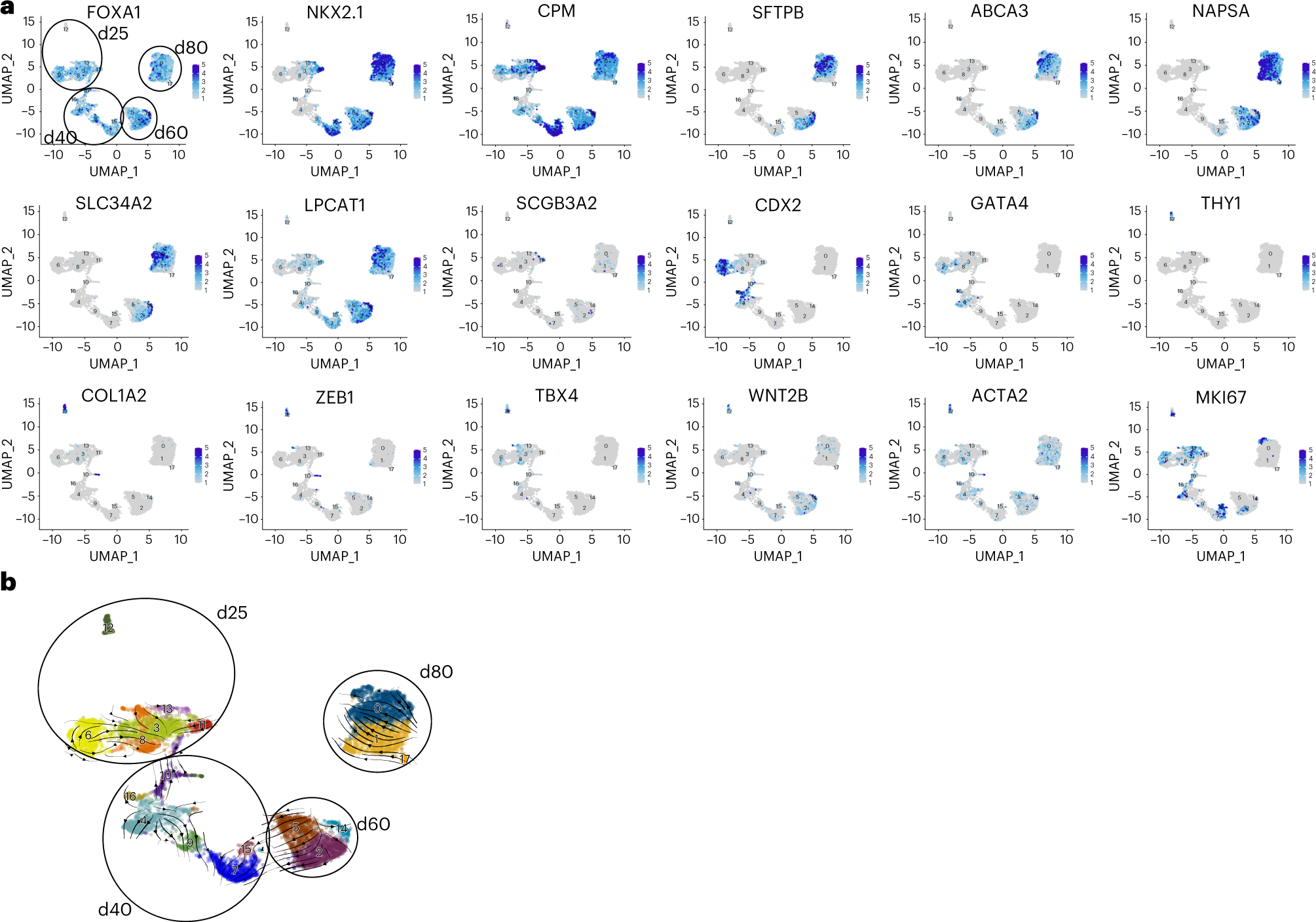 Fig. 8: Merged scRNAseq analysis.
