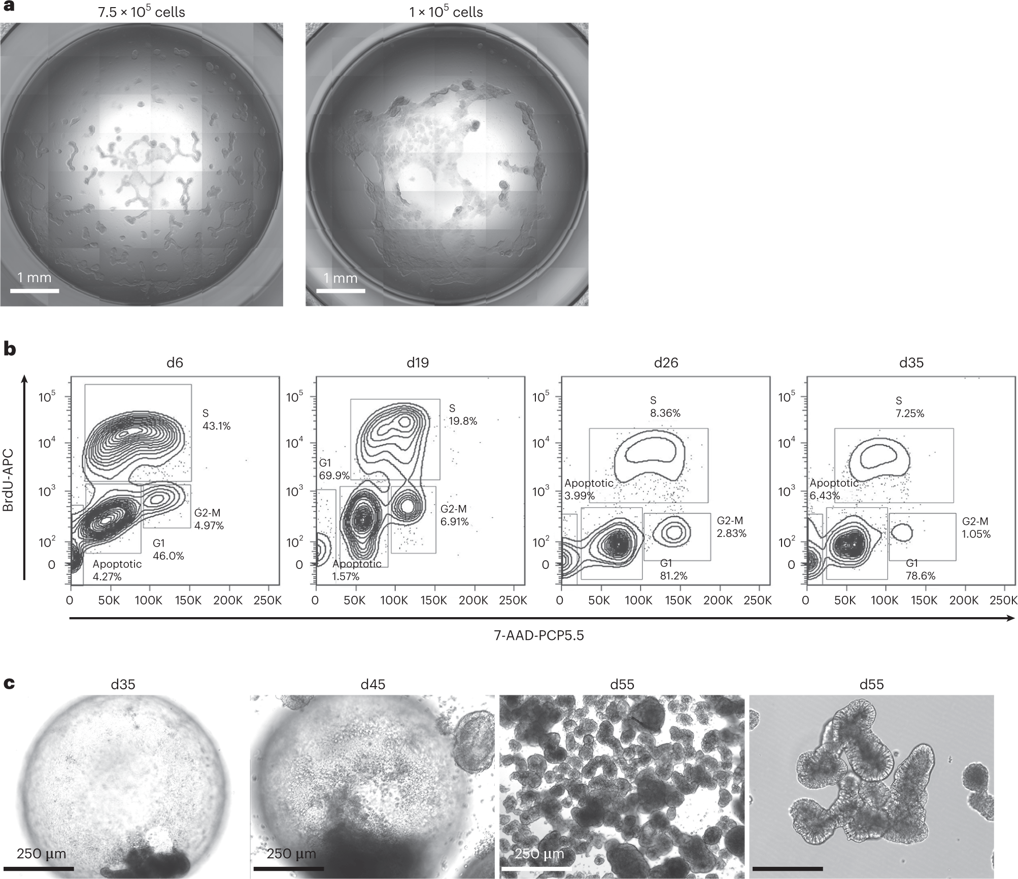 Fig. 9: Troubleshooting of LBO formation.