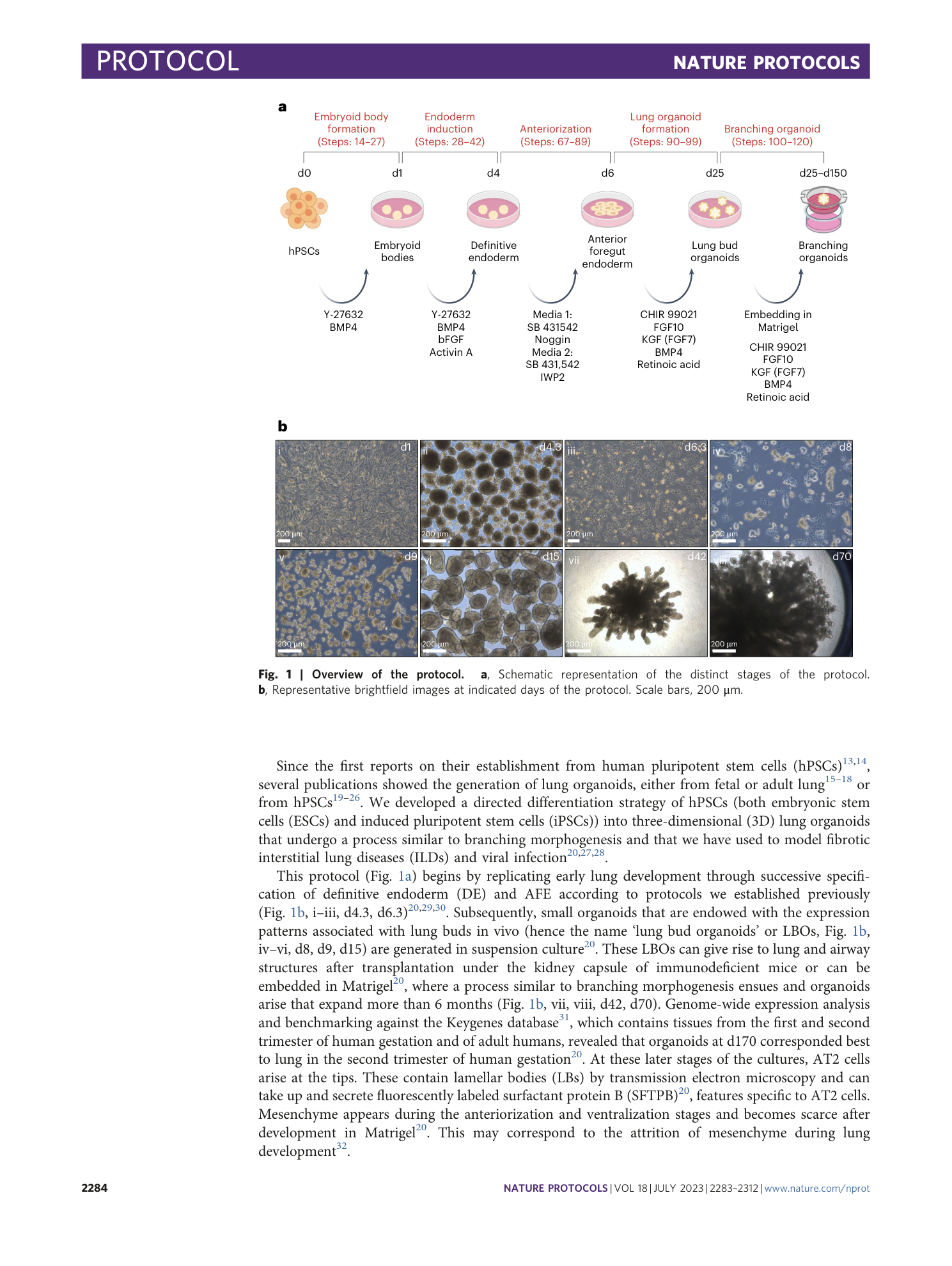 page-2