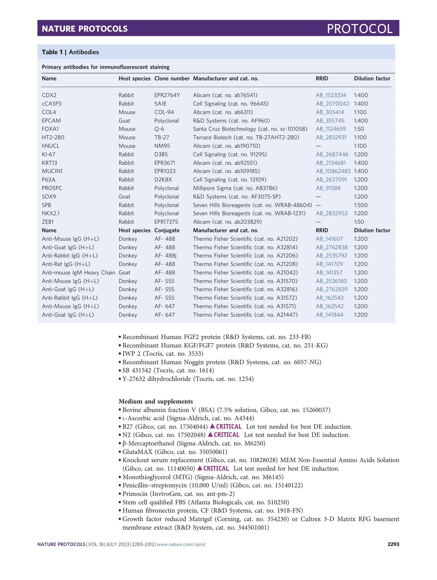 page-11