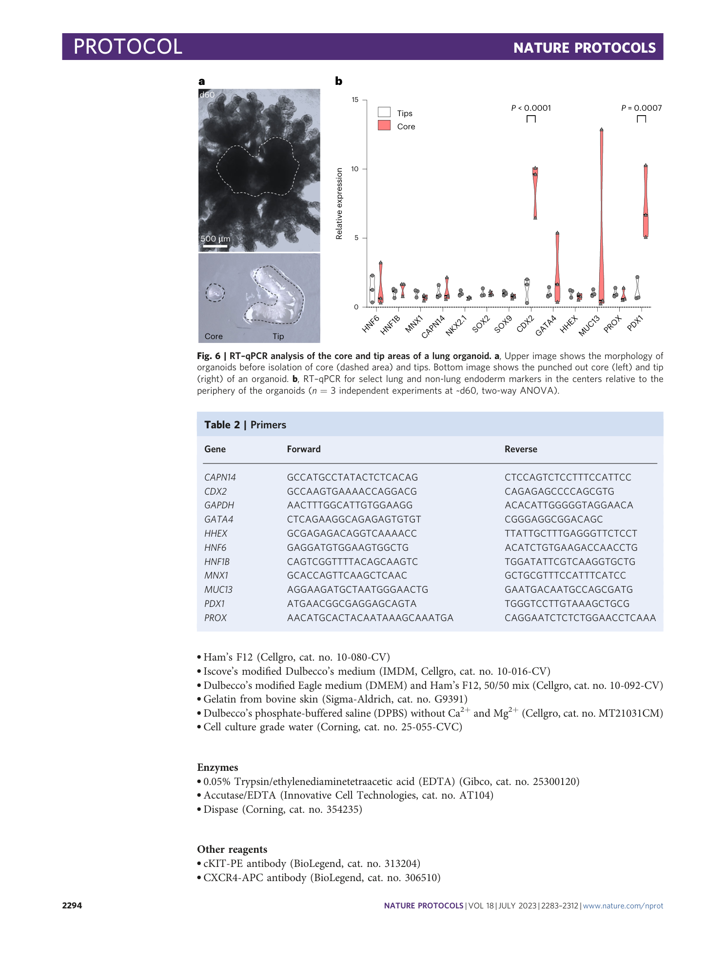 page-12