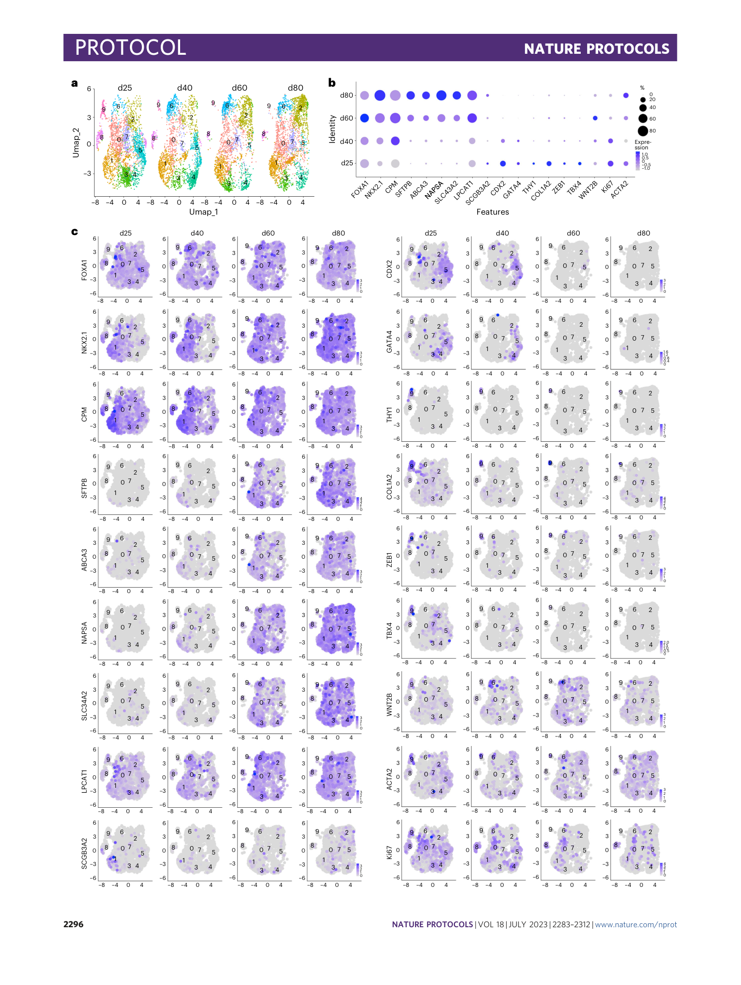 page-14
