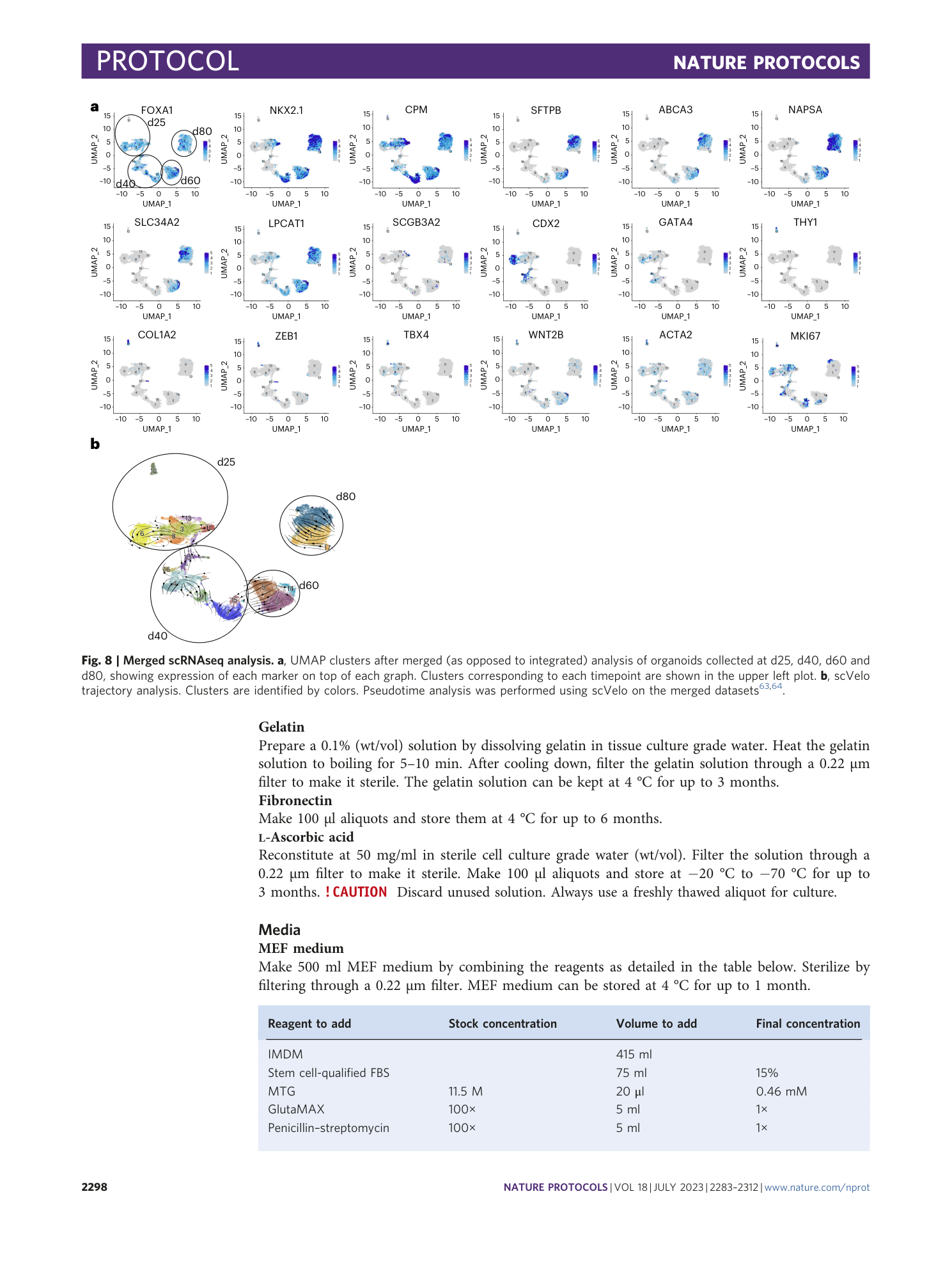 page-16