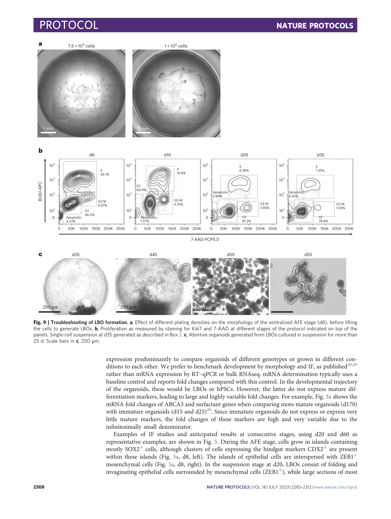 page-26