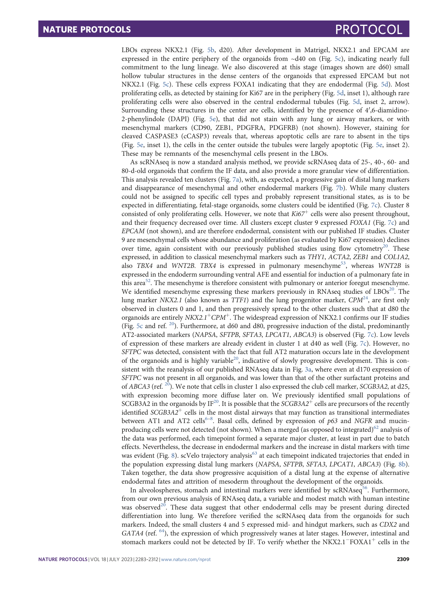 page-27