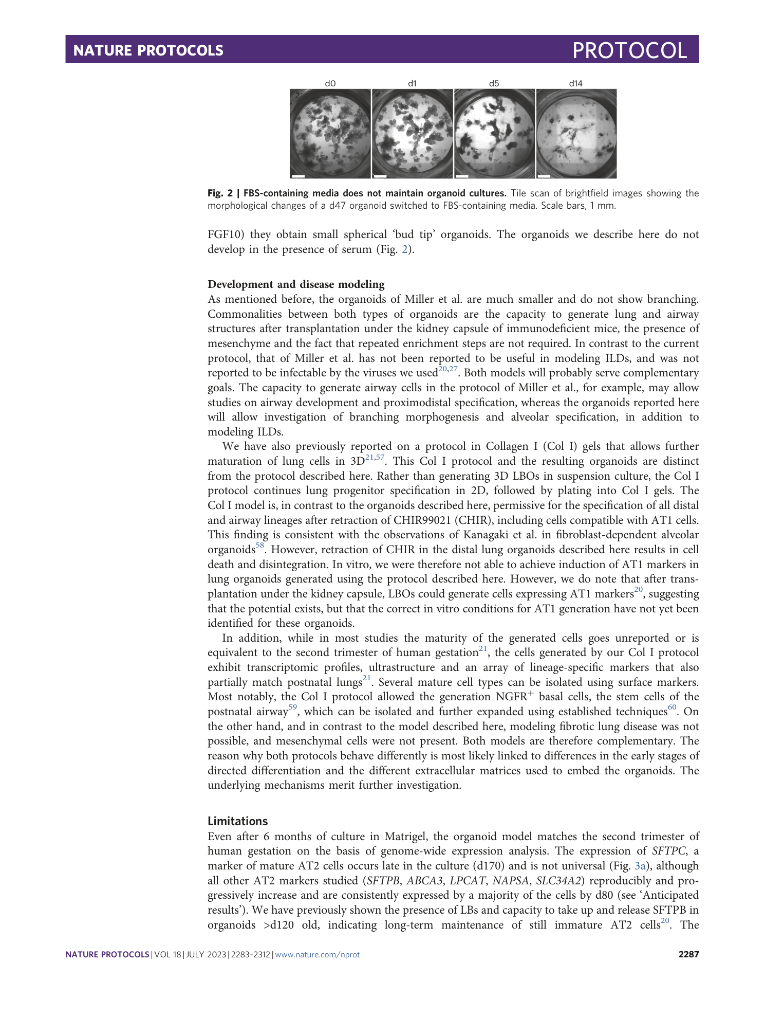 page-5