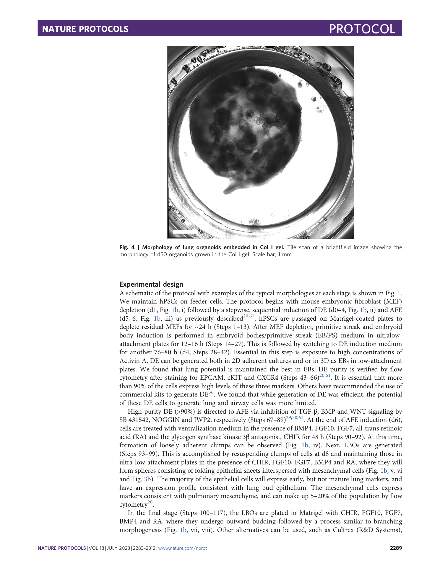 page-7