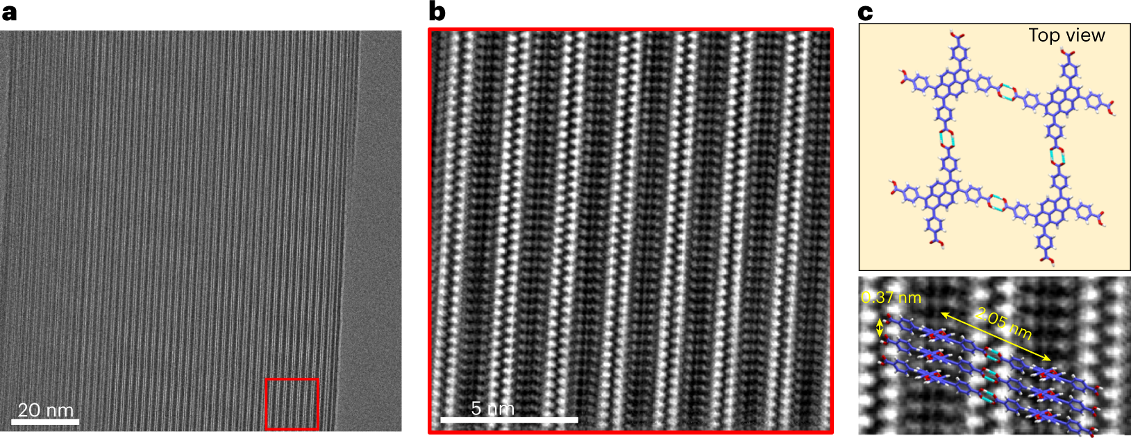 Fig. 10: The microstructure of enzyme (Cyt c)@HOF-101.