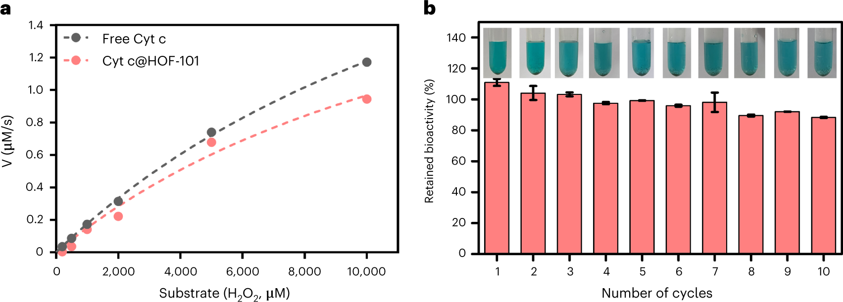 Fig. 11: The bioactivity and recyclability.