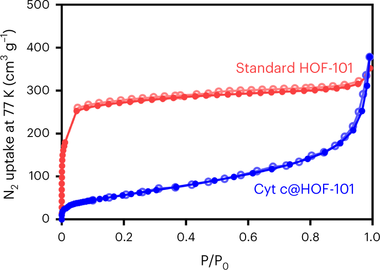 Fig. 8: Nitrogen isotherm characterization.