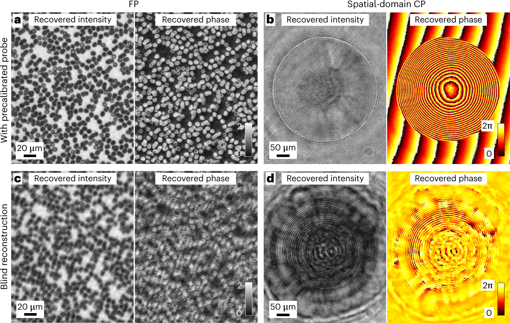 Fig. 14: Reconstructions with precalibrated ptychographic probes versus blind reconstructions.