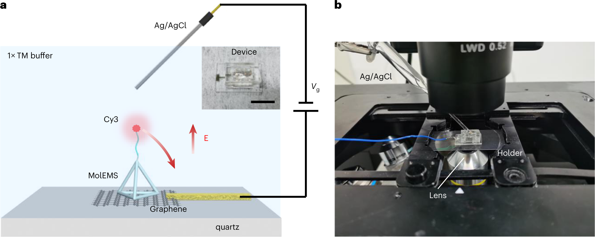 Fig. 11: Characterization of electrostatic actuation.