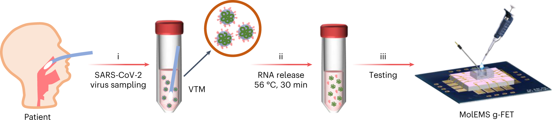 Fig. 13: Workflow of SARS-CoV-2 nucleic acid testing by the MolEMS g-FET.