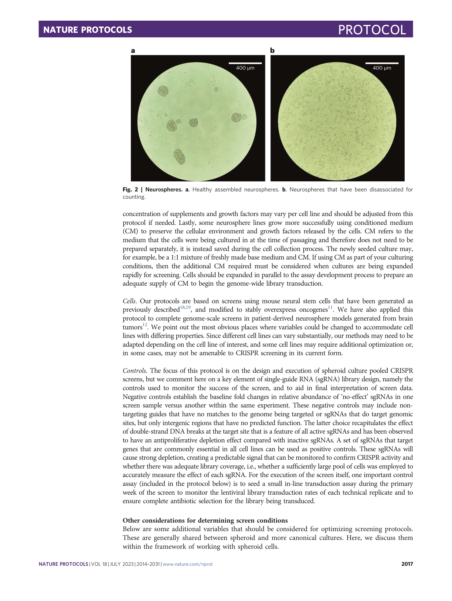 page-4