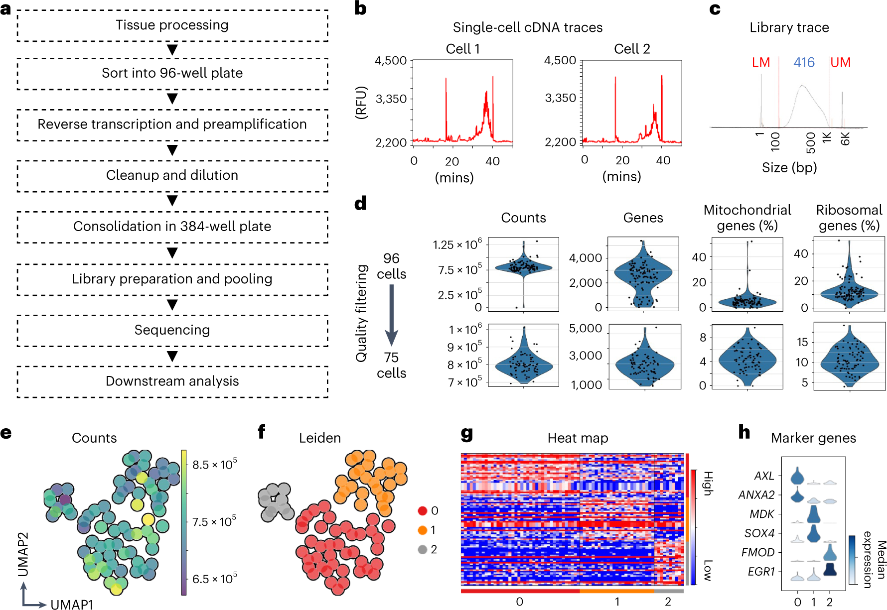 Fig. 5: ScRNAseq platform for analyzing hSSCs.