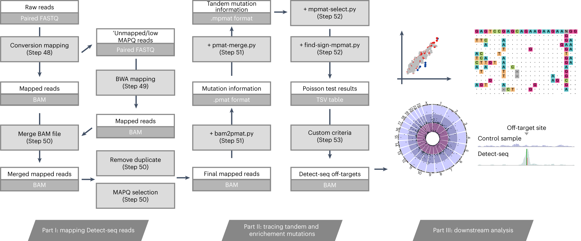 Fig. 3: Detect-seq bioinformatic analysis.