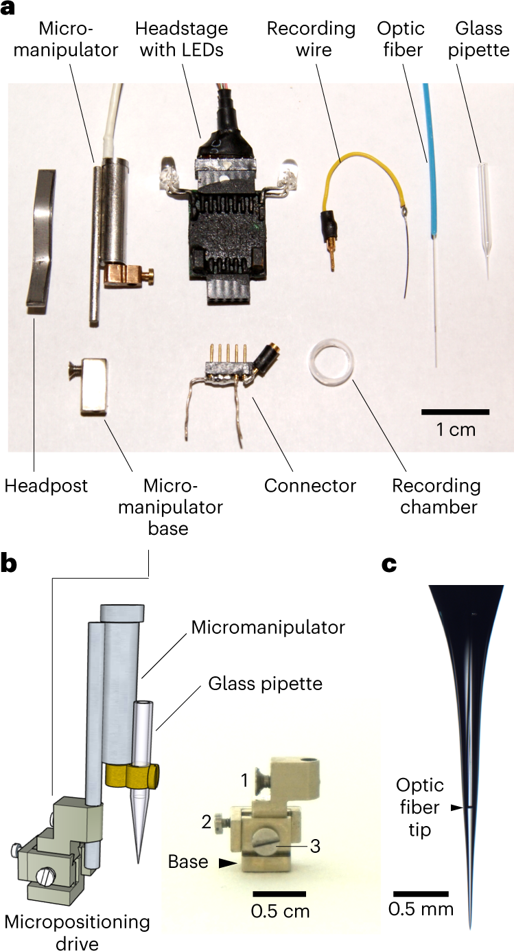 Fig. 1: Implant components for obtaining juxtacellular opto-tagging recordings in freely moving animals.