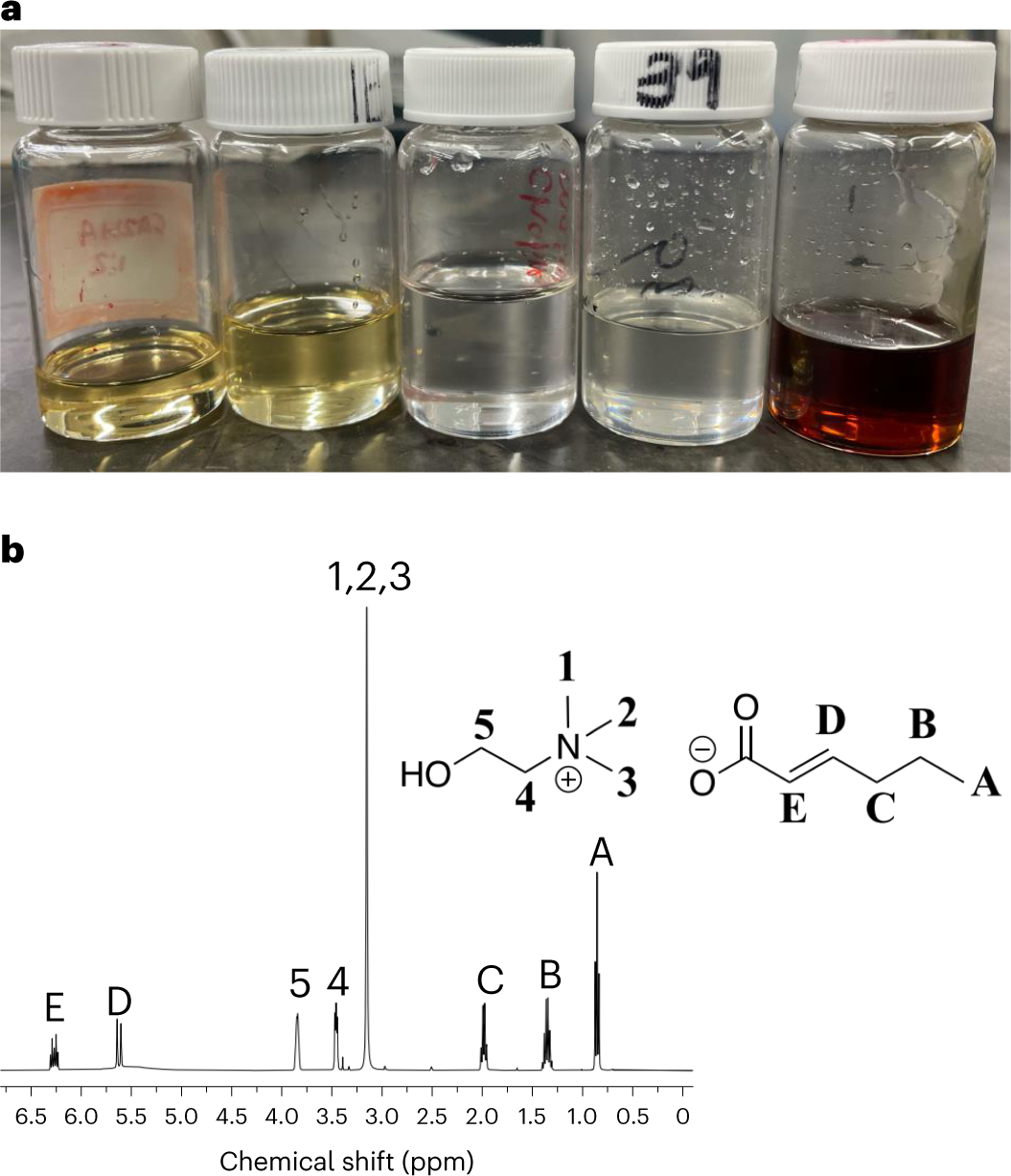 Fig. 2: Example range of choline carboxylate IL physical appearance, and representative 1H NMR spectrum of choline 2-hexenoate.
