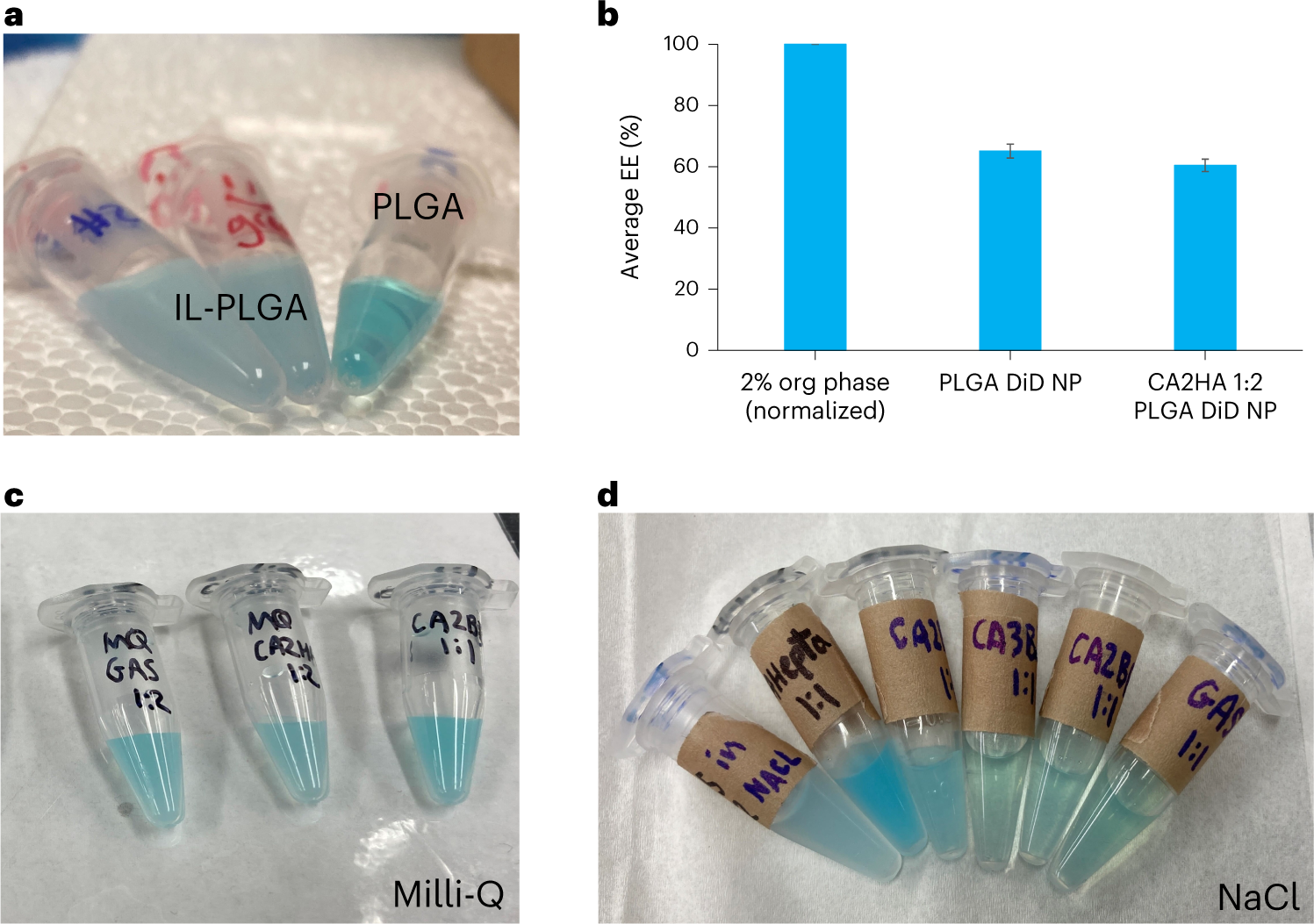 Fig. 3: Appearance, EE (%) and stability of bare PLGA versus IL-coated PLGA DiD-encapsulated NPs (NPs).