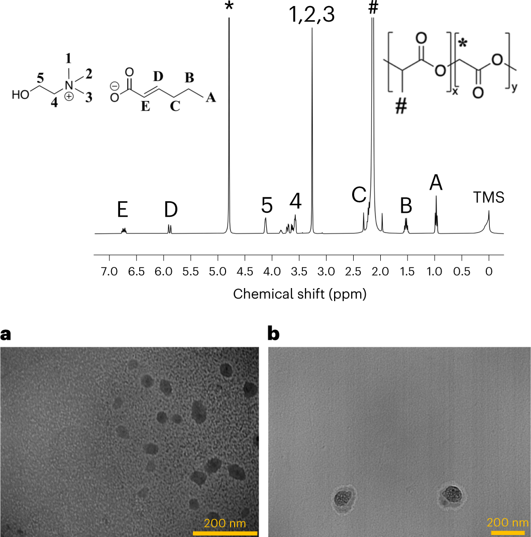 Fig. 6: 1H NMR (top) spectrum and TEM (bottom) characterization of PLGA NPs coated with choline 2-hexenoate29,30,45.