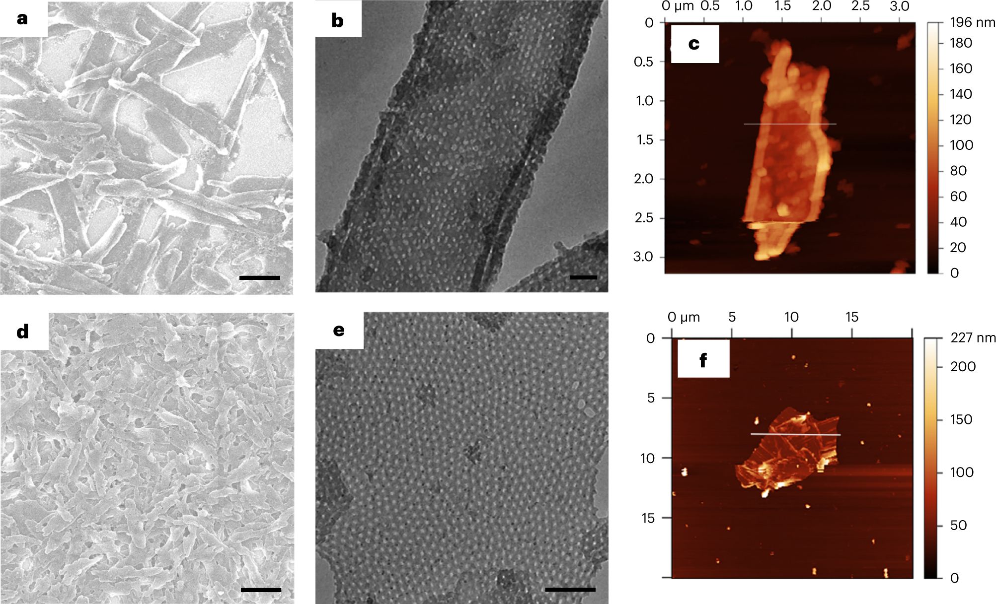 Fig. 12: Images of the mPANi nanosheets.