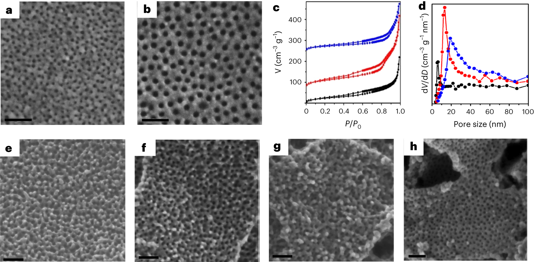 Fig. 7: Images of the mPPy@GO nanosheets.
