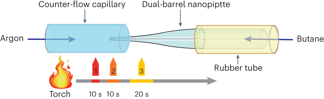 Fig. 3: Schematic of setup used for pyrolytic carbon deposition.
