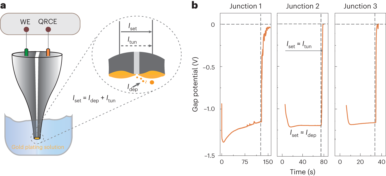 Fig. 6: Electrochemical fabrication of the QMT probes.