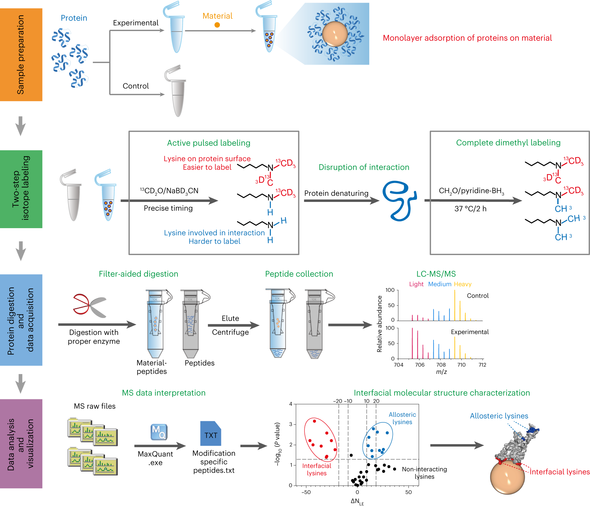 Fig. 1: The workflow for structural characterization of protein-material interfacial interactions using lysine reactivity profiling-mass spectrometry.