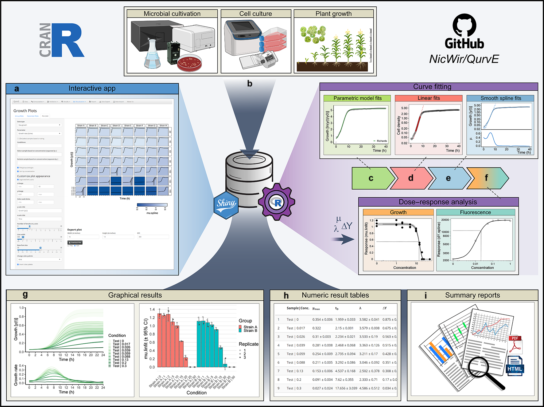 Fig. 1: QurvE enables robust, high-throughput analysis of growth and fluorescence data.